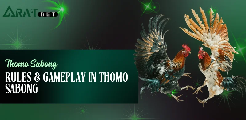 rules and gameplay in thomo sabong