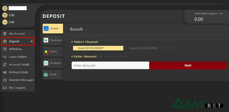 step by step guide to depositing funds